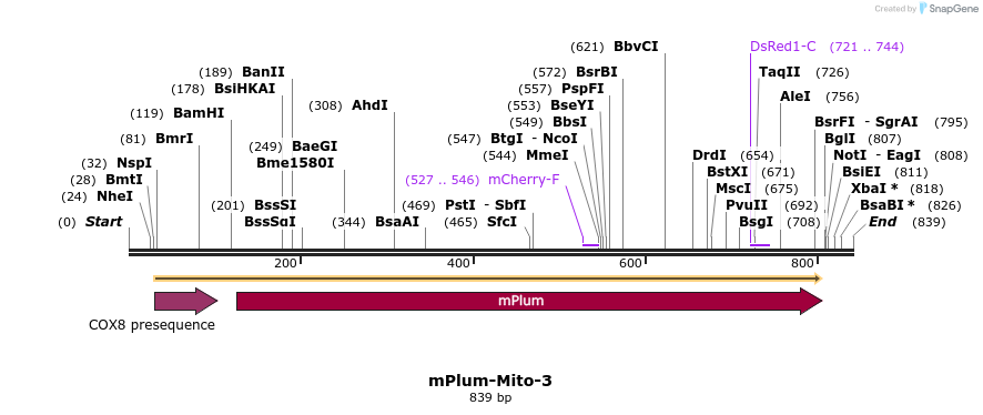 109613_map