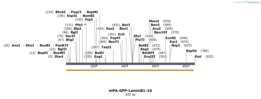 109618_map