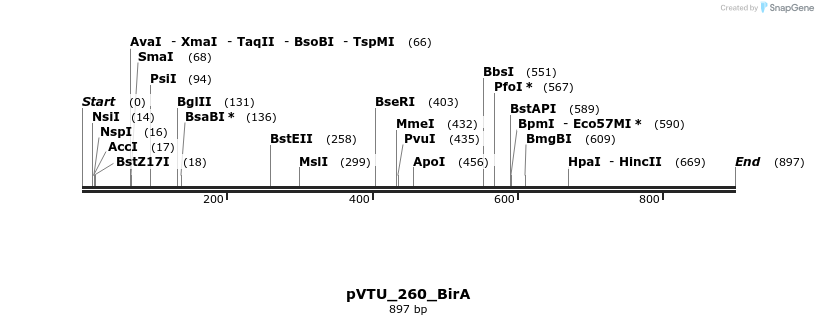 109619_map