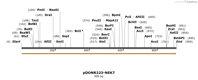 10962_map