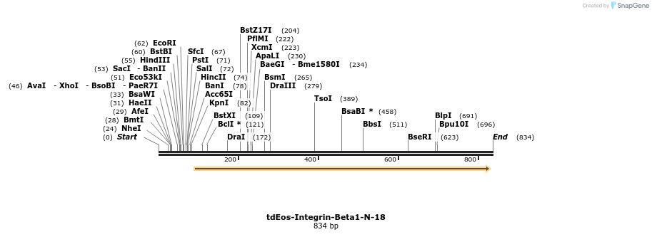109621_map