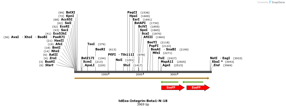 109622_map
