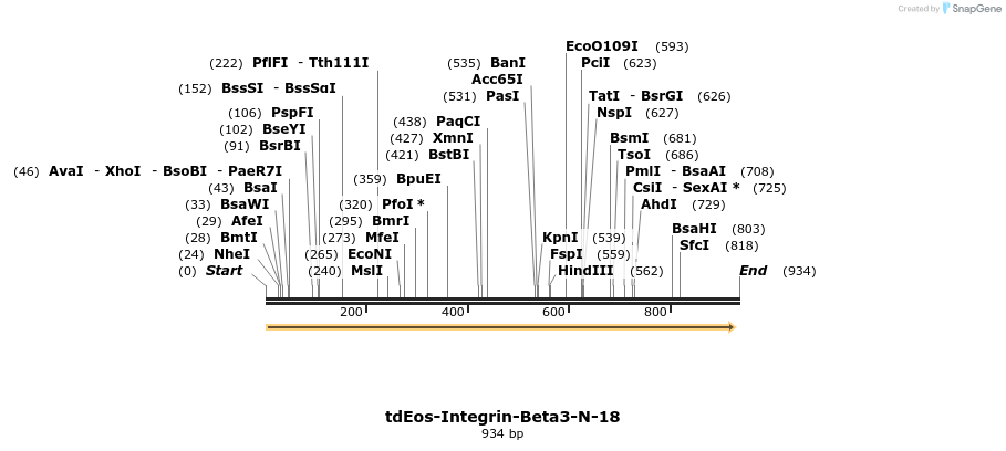 109624_map