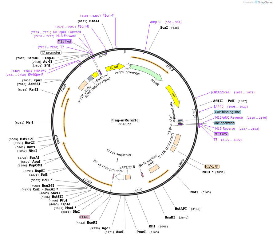 109626_map