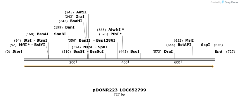 10963_map