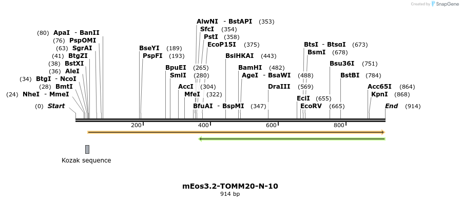109631_map