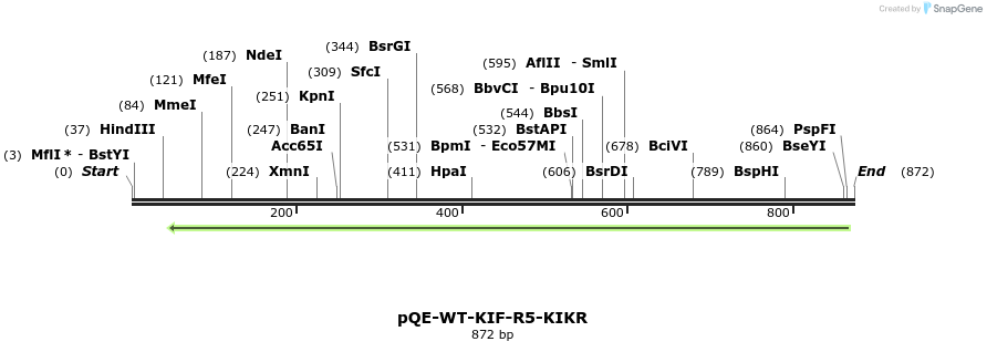 109633_map