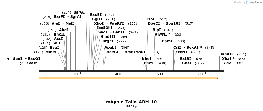 109634_map