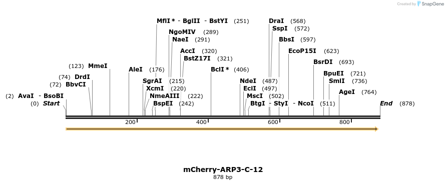 109636_map