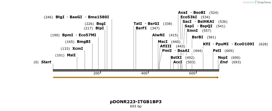 10964_map