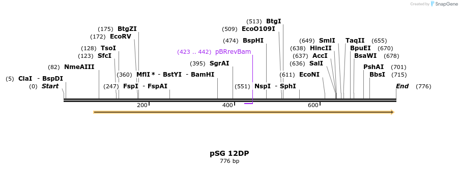 109641_map
