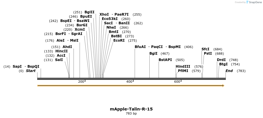 109643_map