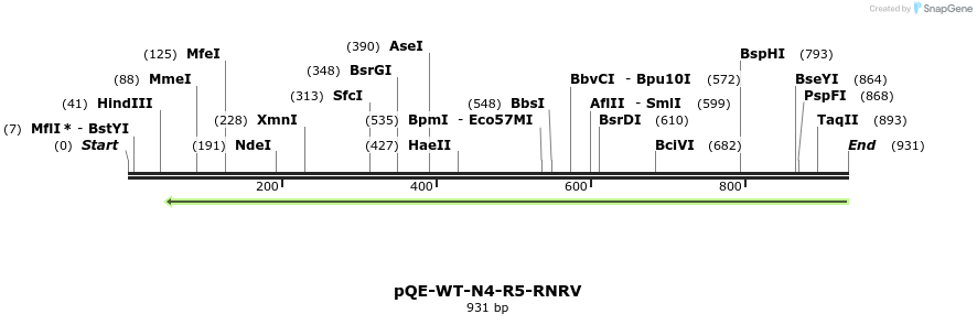 109645_map