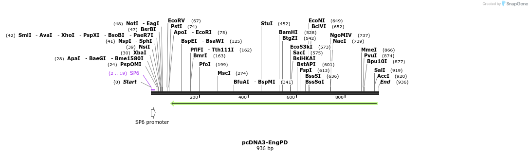 109647_map