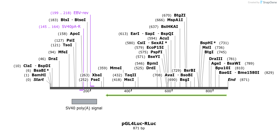 109652_map