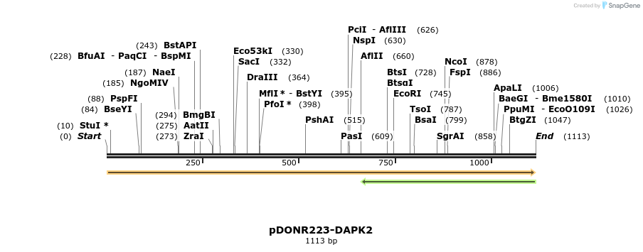 10967_map