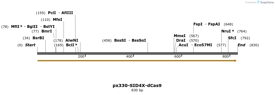109679_map