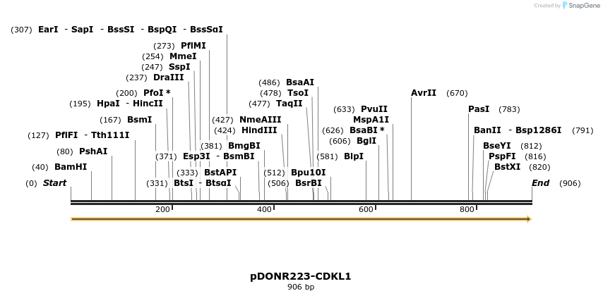 10969_map