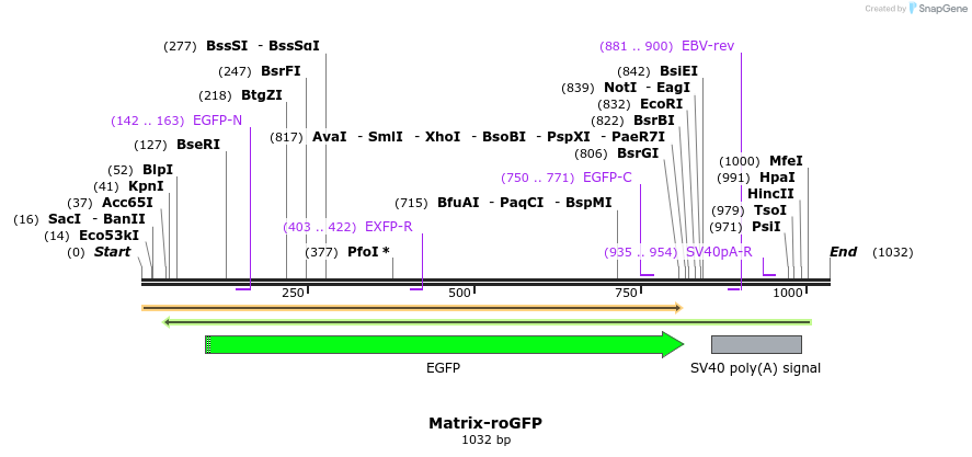 109693_map