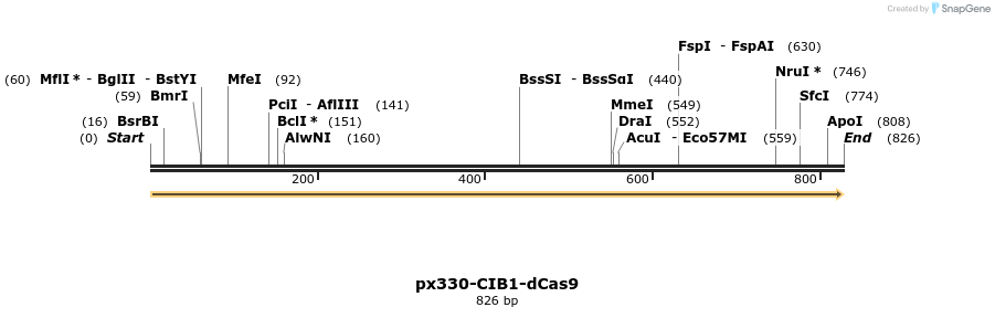 109702_map
