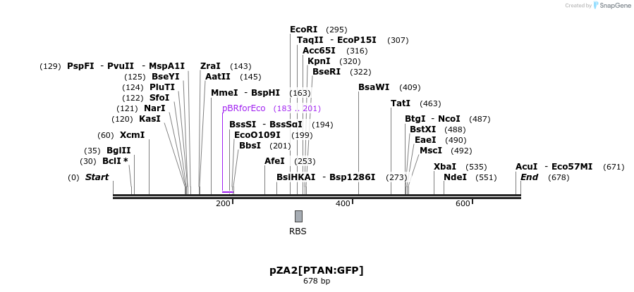109704_map