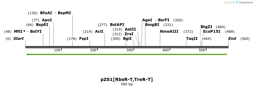 109707_map