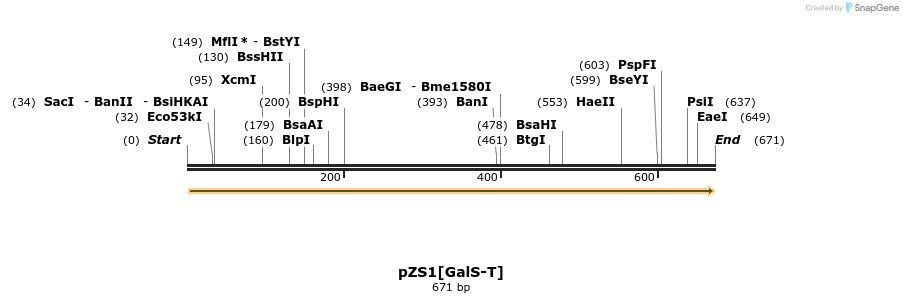 109714_map