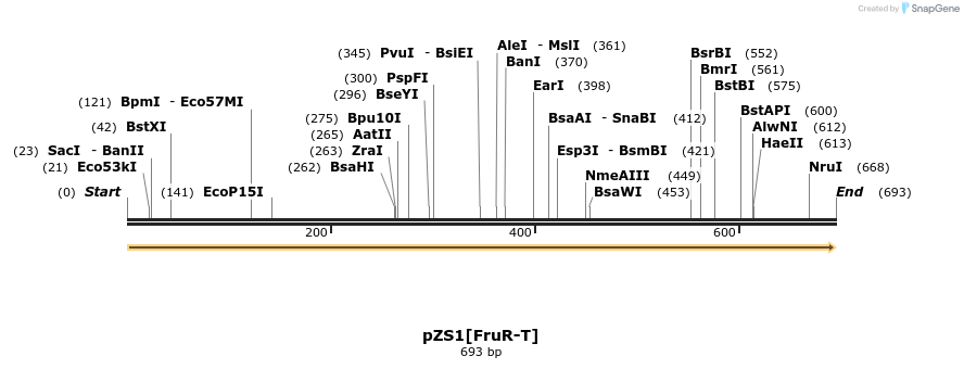109716_map
