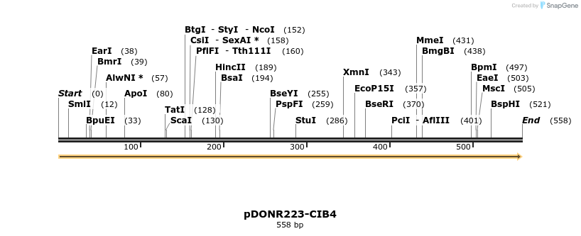 10972_map