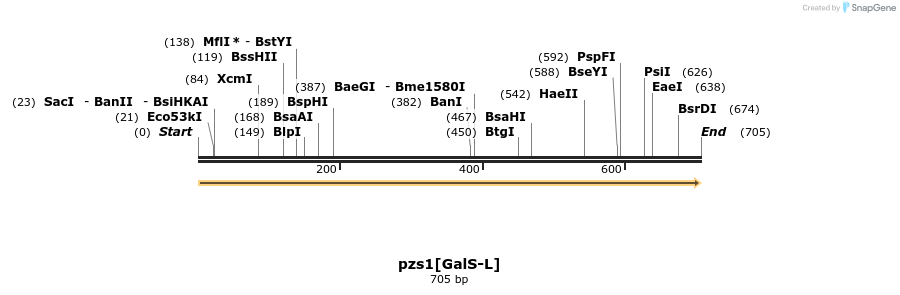 109728_map