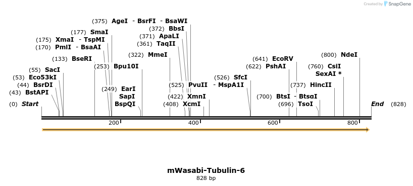 109729_map