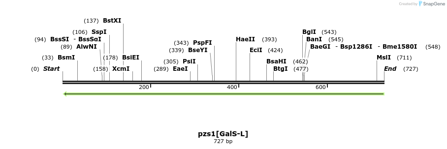 109730_map