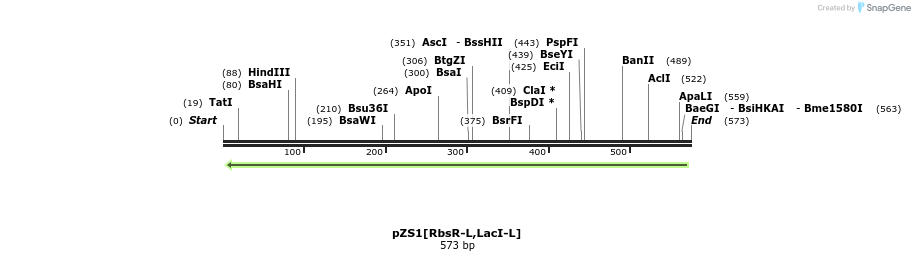 109733_map