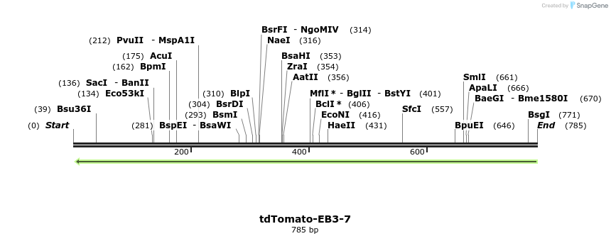 109734_map