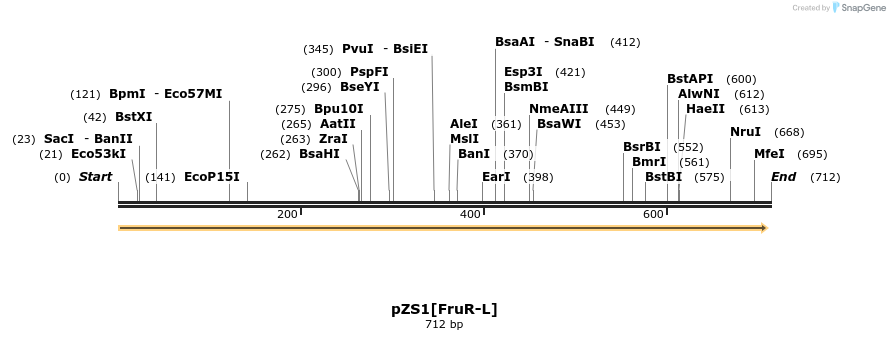 109738_map