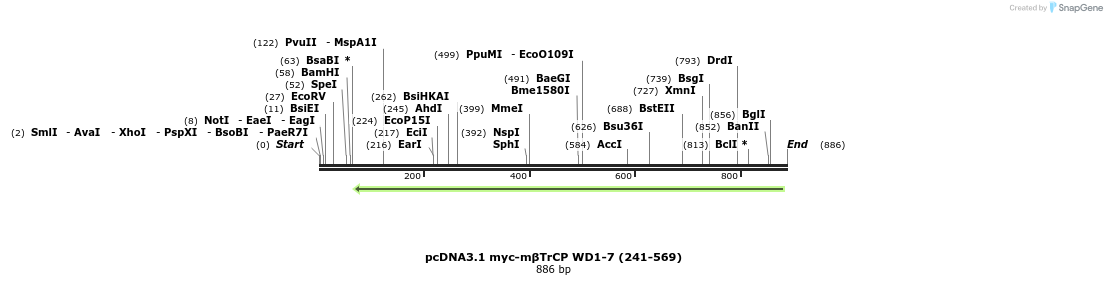 109739_map