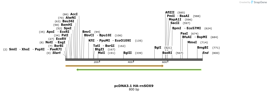 109744_map