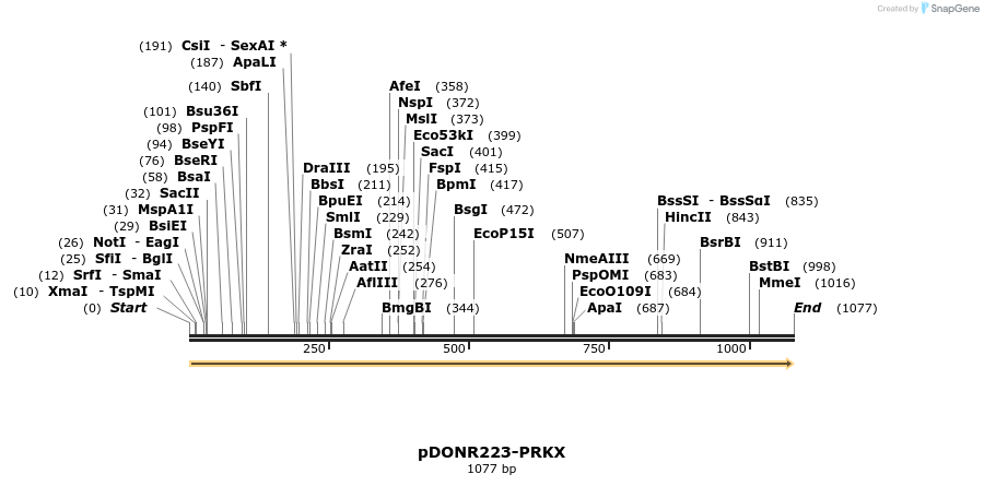 10975_map