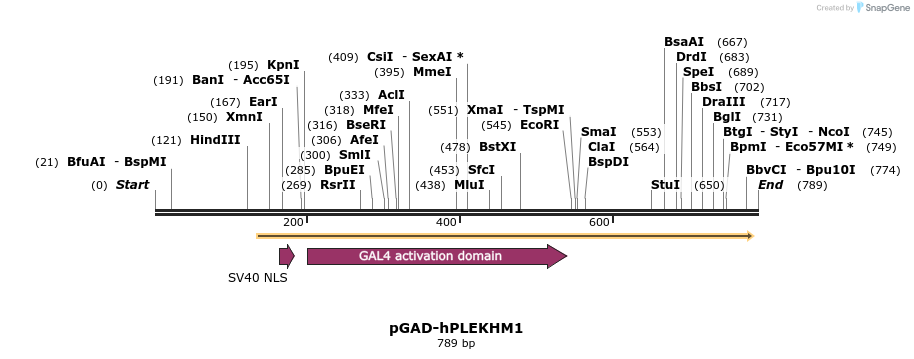 109753_map