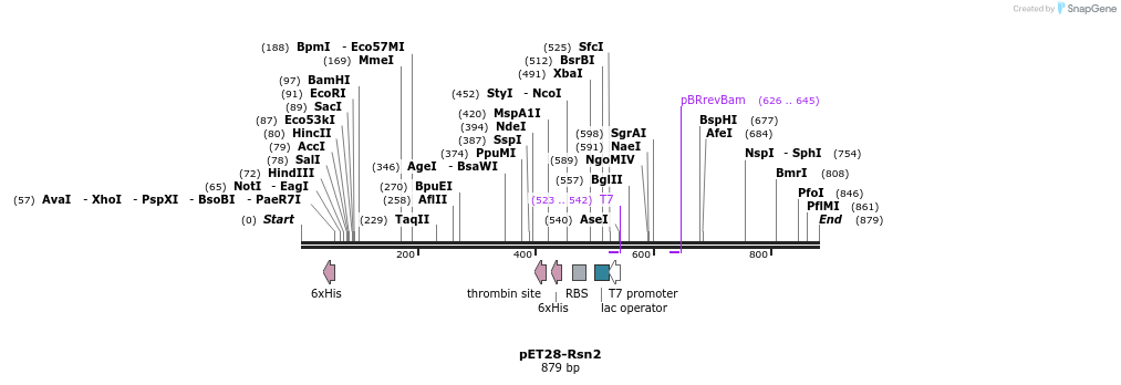 109754_map