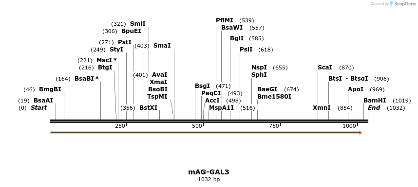 109756_map