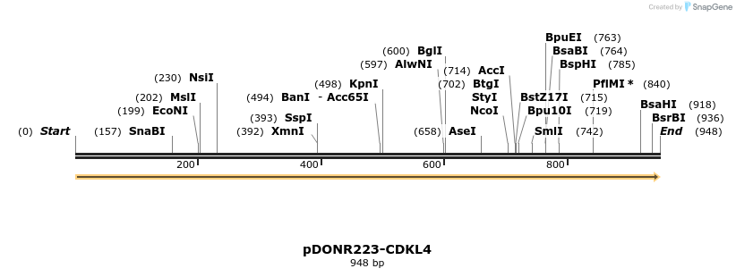10976_map