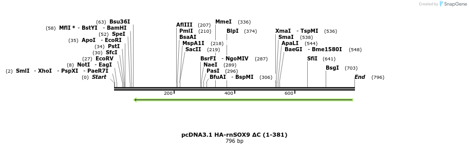 109762_map