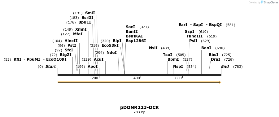 10977_map