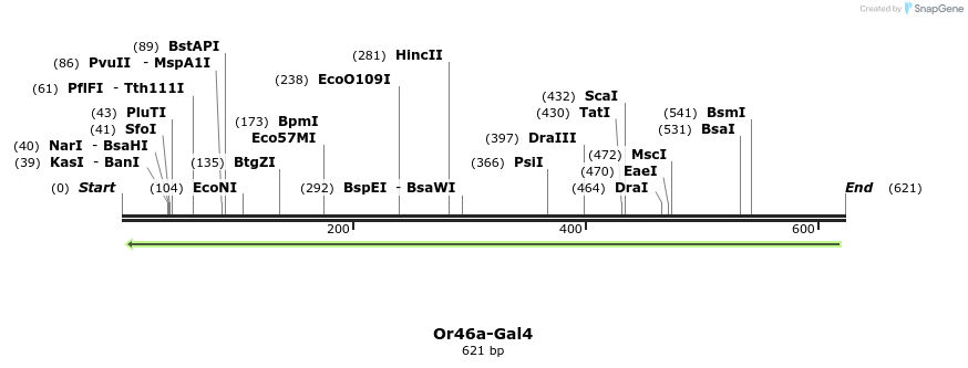 109770_map