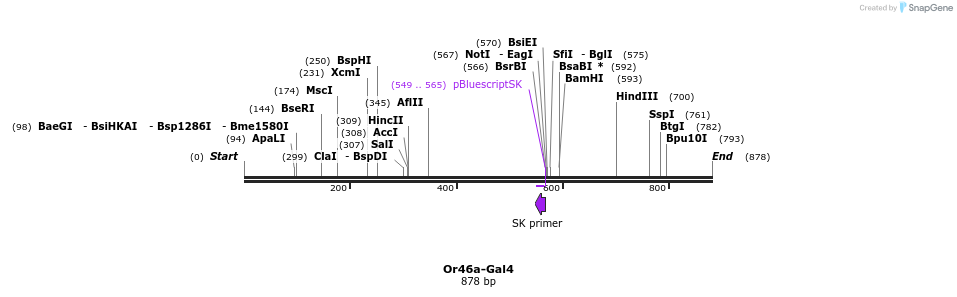109778_map