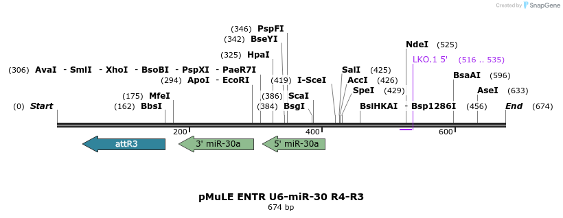 109782_map