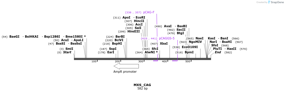109793_map