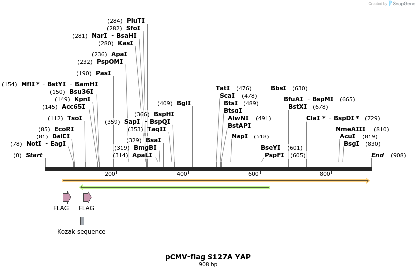 109796_map