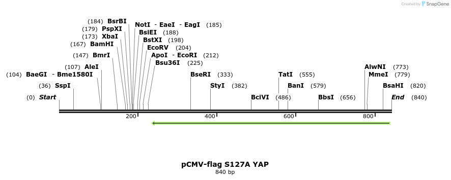 109797_map